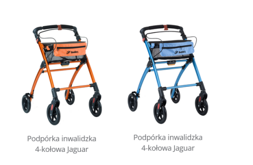 JAGUARY DWA.png